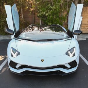 Used 2019 Lamborghini Aventador S Roadster For Sale