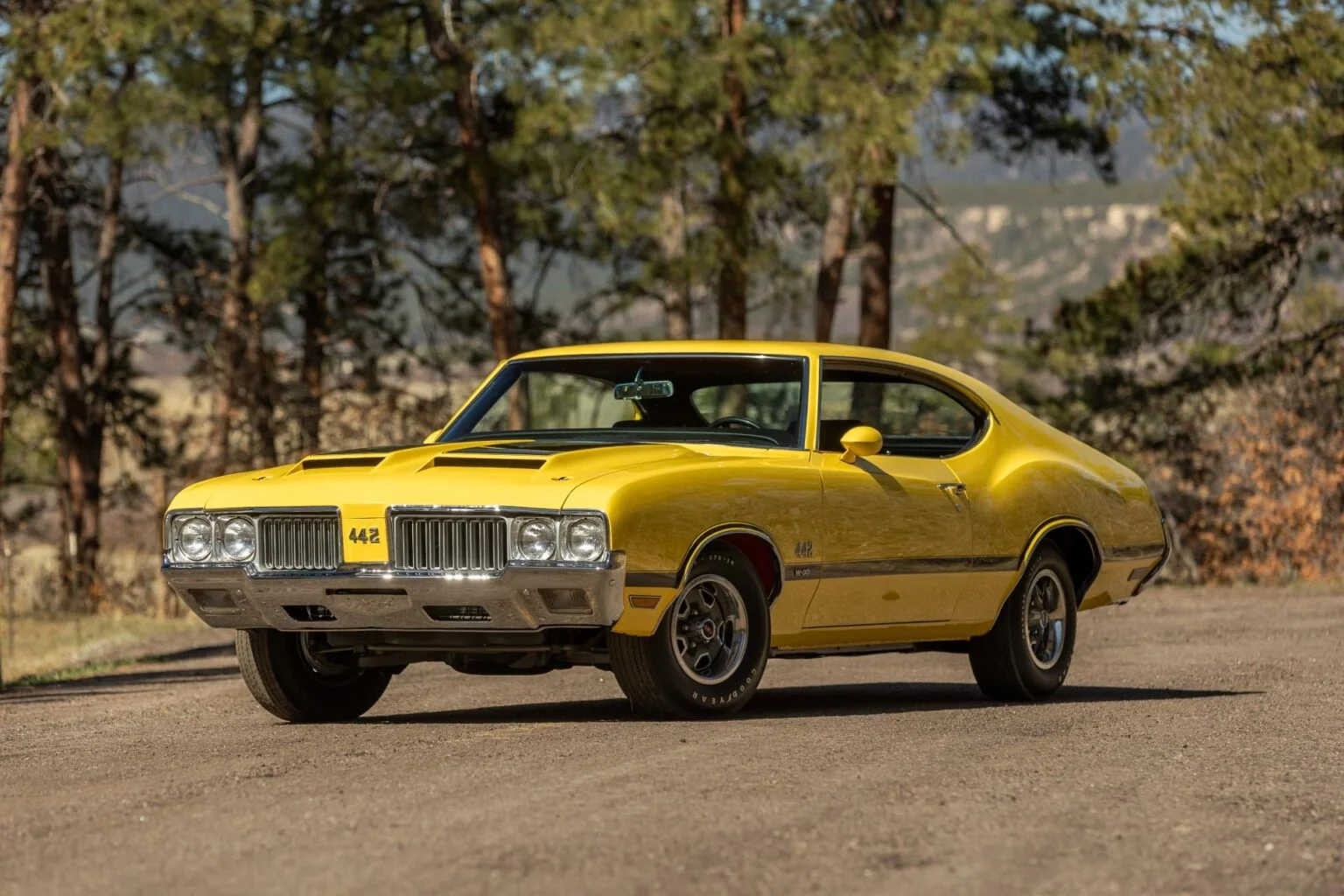 1970 Oldsmobile 442 W-30 Coupe For Sale